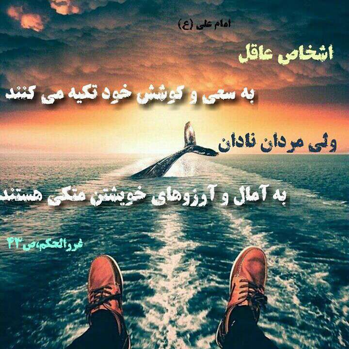 حدیثی از امام علی در مورد افراد عاقل